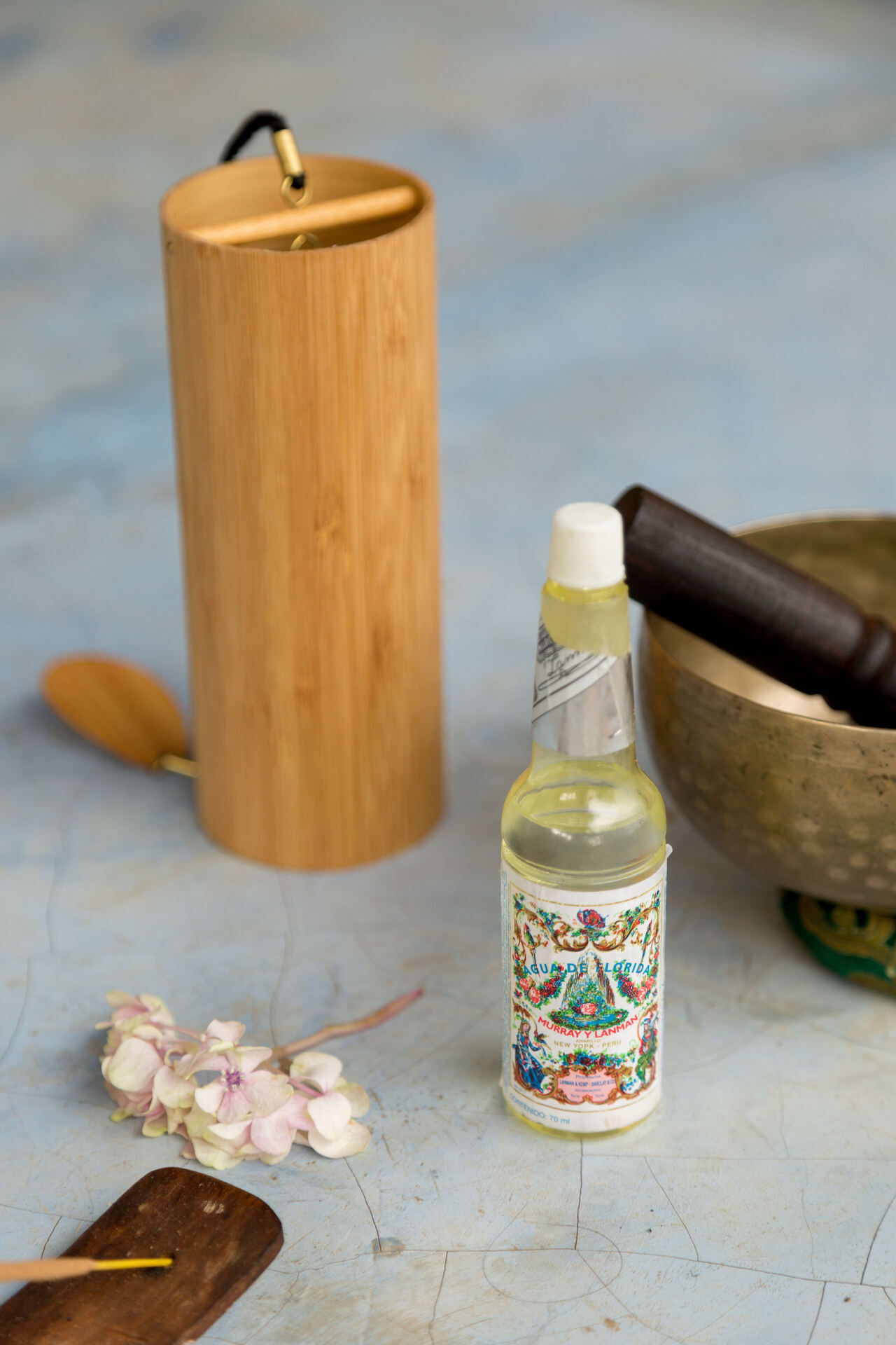 Ayurvedic Marma Therapy Course